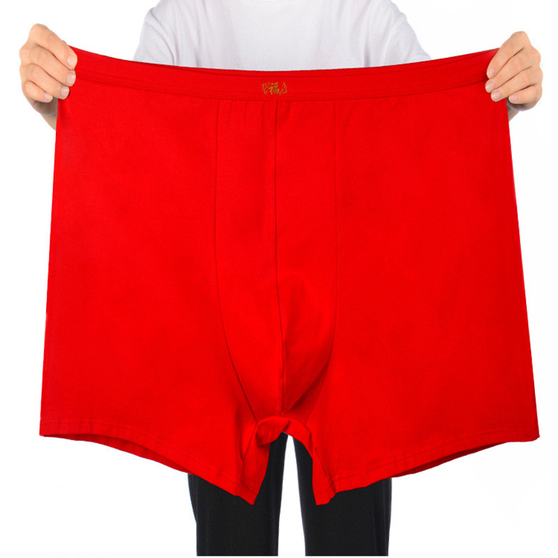 Pure Cotton Underwear Men Over - Boxer Brief Pack Cotton ulasan dan harga